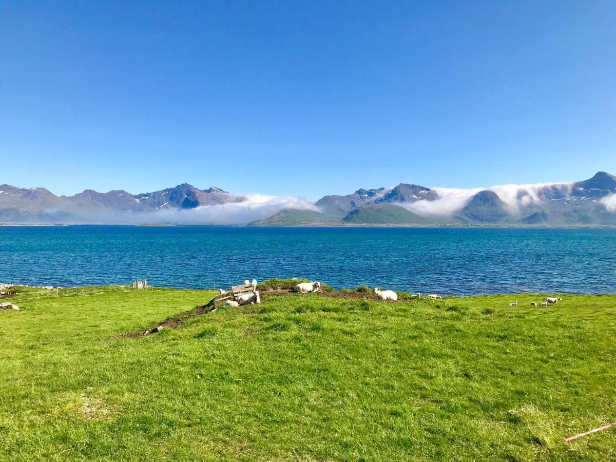 Cozy Apartment Leknes Lofoten Exterior photo